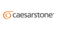 Caesarstone-surfaces1